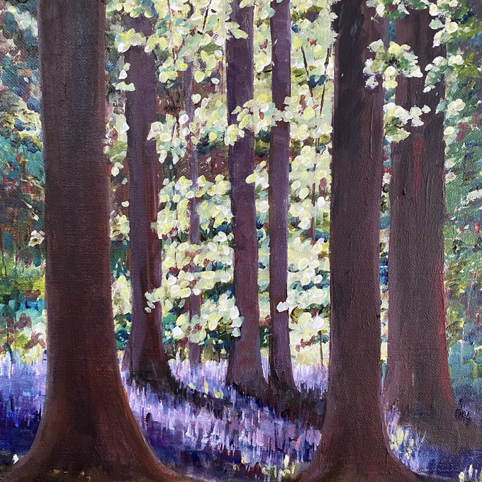 bluebell woods